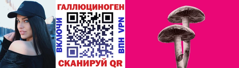 Галлюциногенные грибы MAGIC MUSHROOMS  Купить закладки  Александровск